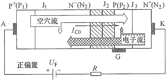 正向.png